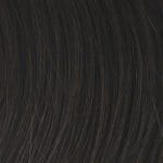 RW-Couture-Remy-Human-Hair-Colors-R4-Midnight-Brown-1